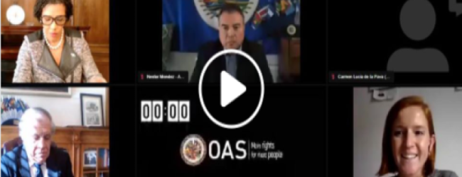 Nuestra Presidenta Lorena Julio presentó ante el Consejo Permanente de la Organización de los Estados Americanos la Guía de la OEA sobre COVID-19 y Discapacidad en formato accesible.