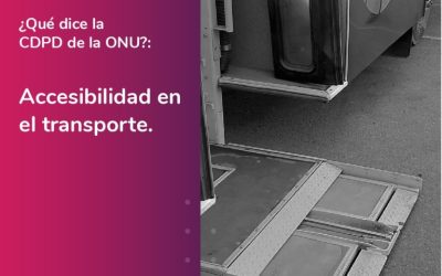 What does the UN Convention on the Rights of Persons with Disabilities say? Transport Accessibility