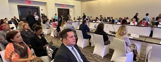 Fundación Comparlante participó en la XIII Reunión Ordinaria del CEDDIS