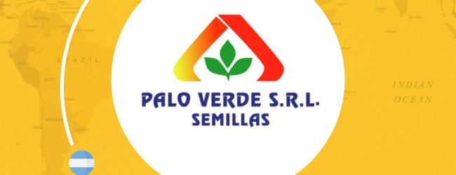 Palo Verde SRL nos apoya para llegar a Abu Dhabi.