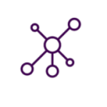 Icon of dots connected by strokes of lines symbolizing a network of people in purple color.